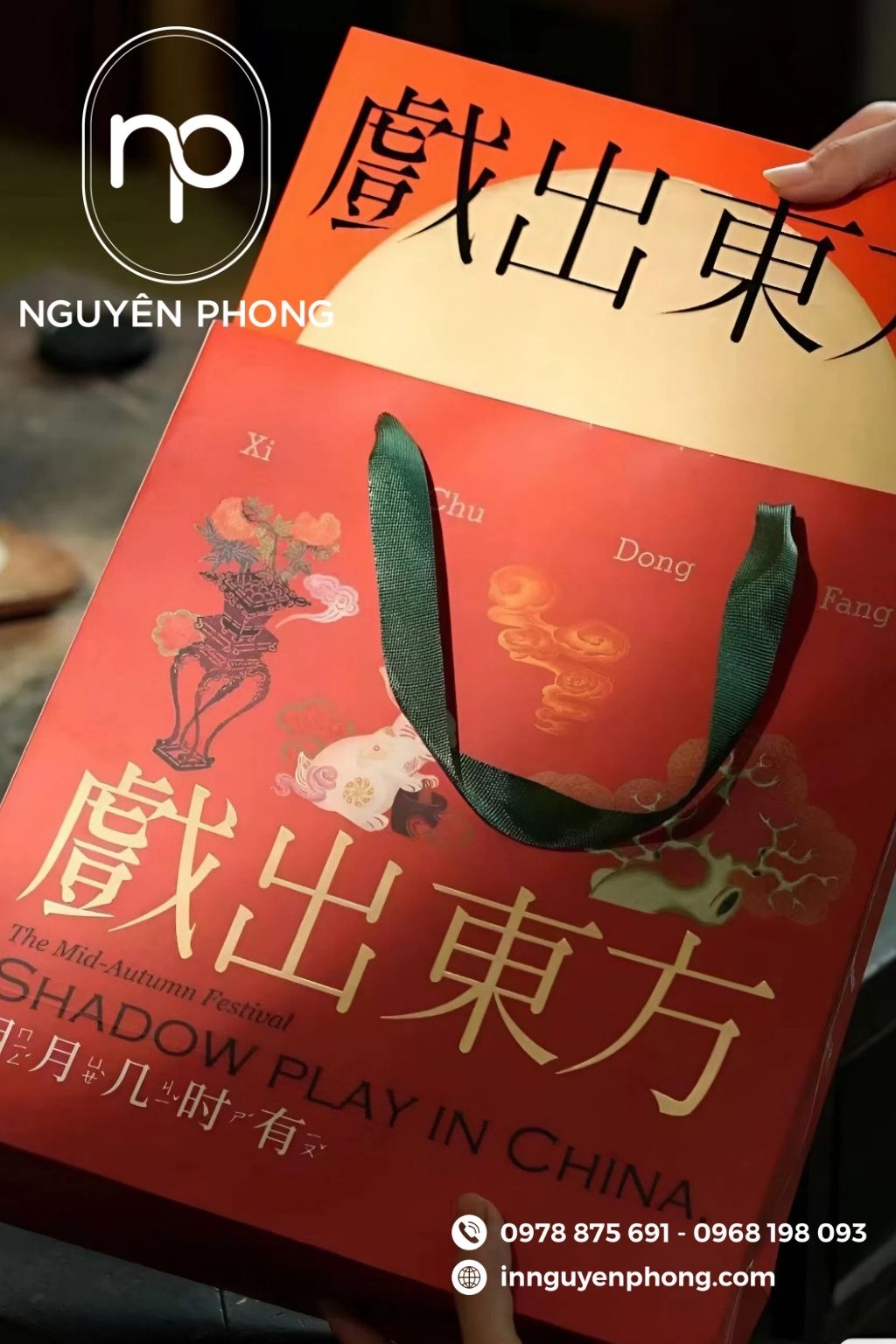 Mẫu túi giấy đựng thuốc đông y thiết kế 